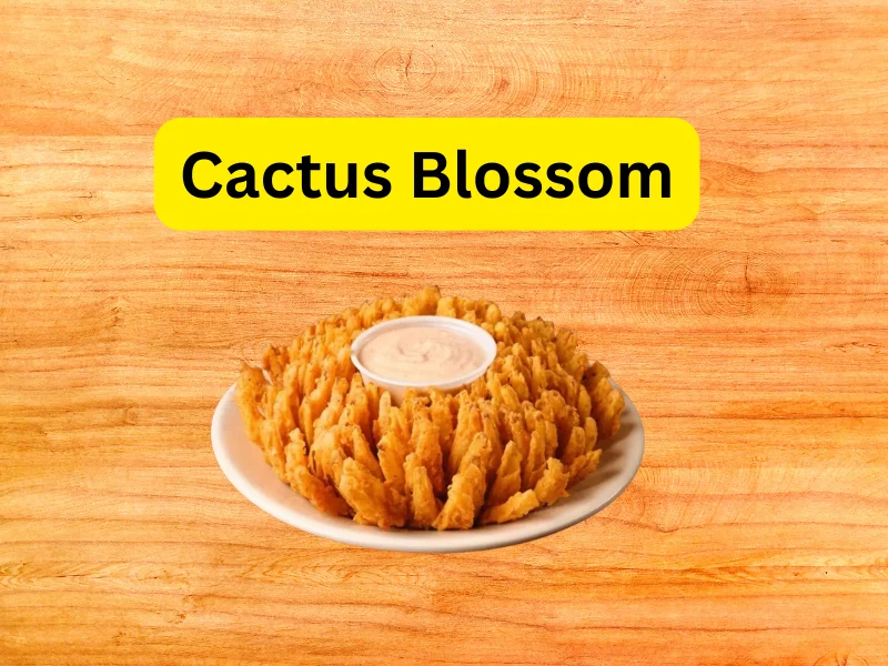 Cactus Blossom 